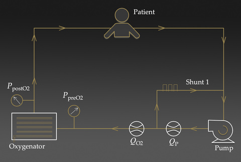 Caption for Critical care